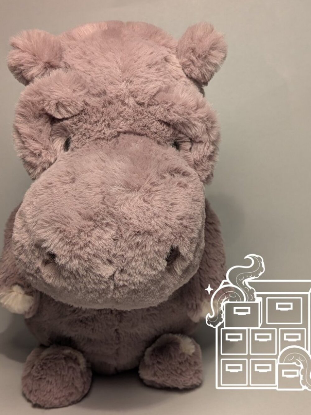 Jellycat Retired Myrtle Hippopotamus Hippo MYR2H NWT/Display Only